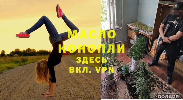 тгк Дмитровск