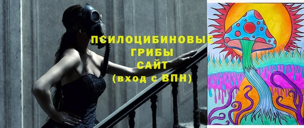 винт Дмитриев