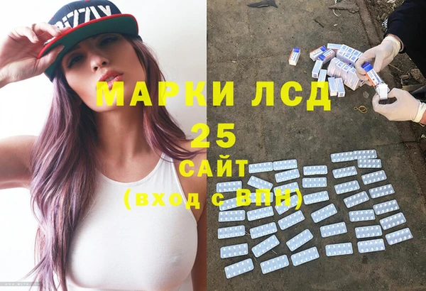 тгк Дмитровск