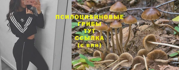 тгк Дмитровск